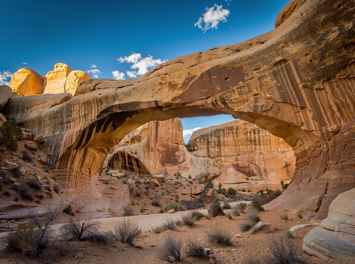 Hickman Bridge, a natural sandstone arch spanning a dry wash in Capitol Reef National Park